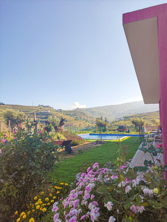 Quinta Dos Padrinhos - Suites In The Heart Of The Douro Lamego Exterior foto