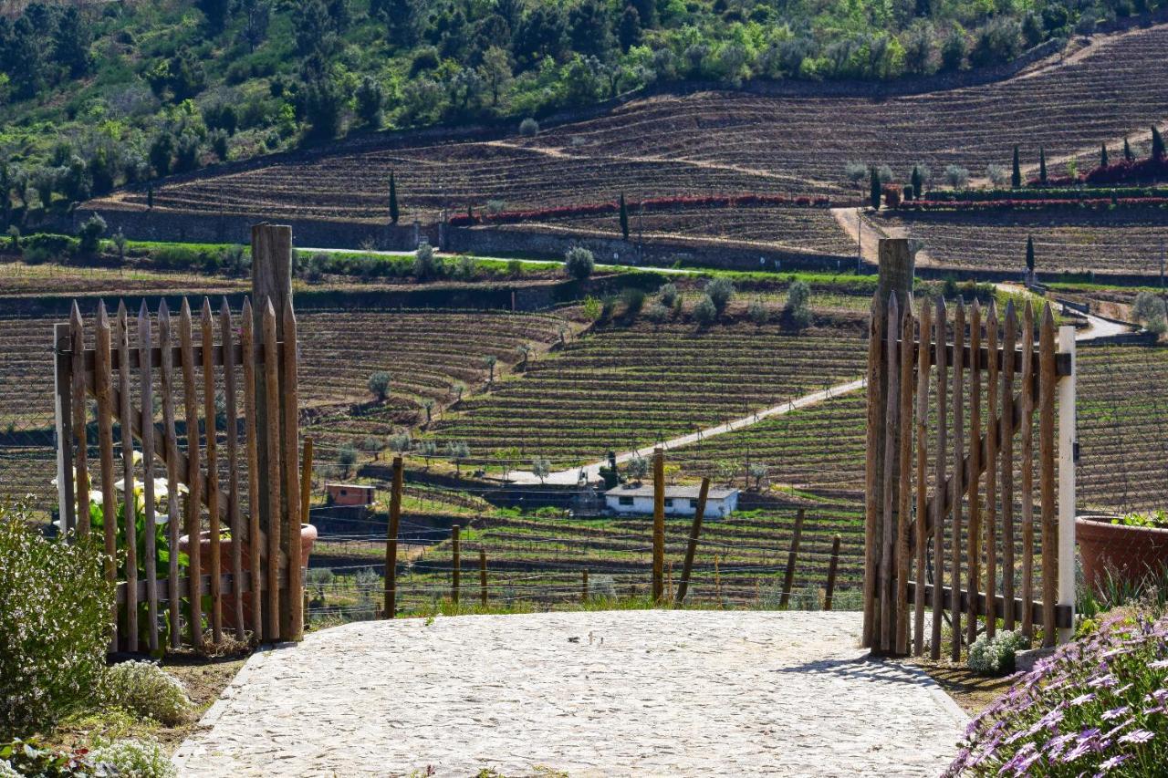 Quinta Dos Padrinhos - Suites In The Heart Of The Douro Lamego Exterior foto