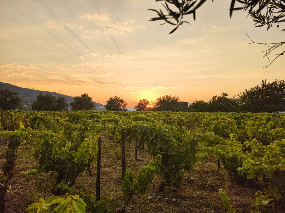 Quinta Dos Padrinhos - Suites In The Heart Of The Douro Lamego Exterior foto