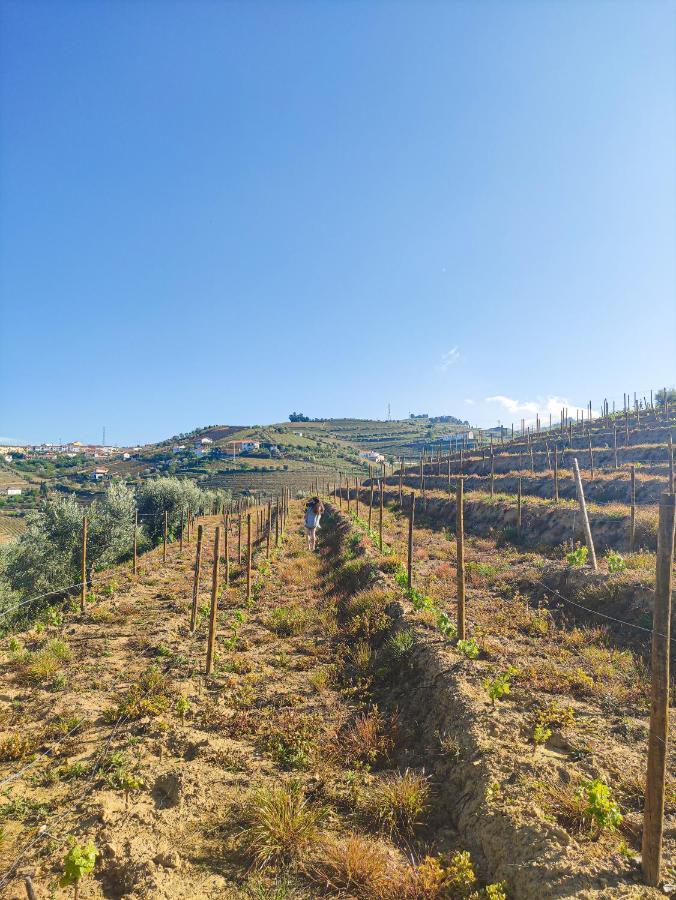 Quinta Dos Padrinhos - Suites In The Heart Of The Douro Lamego Exterior foto