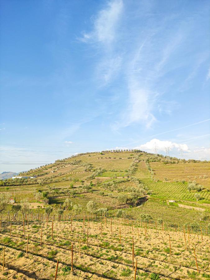 Quinta Dos Padrinhos - Suites In The Heart Of The Douro Lamego Exterior foto