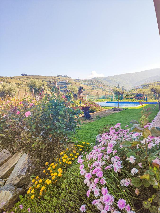Quinta Dos Padrinhos - Suites In The Heart Of The Douro Lamego Exterior foto