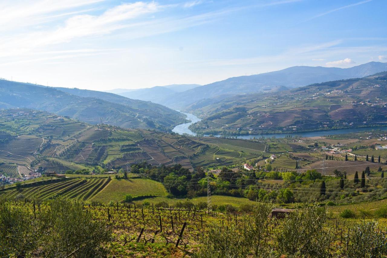 Quinta Dos Padrinhos - Suites In The Heart Of The Douro Lamego Exterior foto