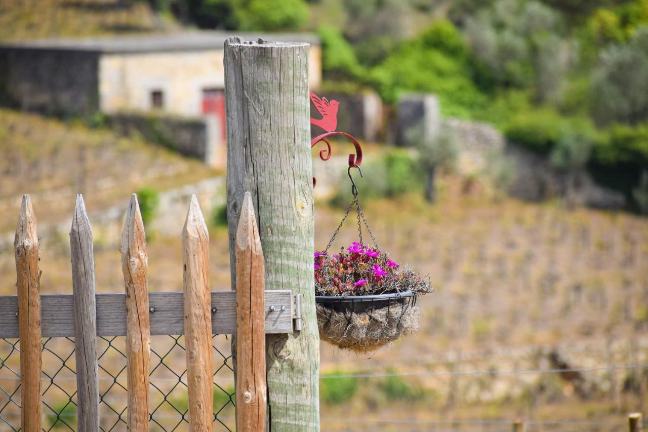 Quinta Dos Padrinhos - Suites In The Heart Of The Douro Lamego Exterior foto