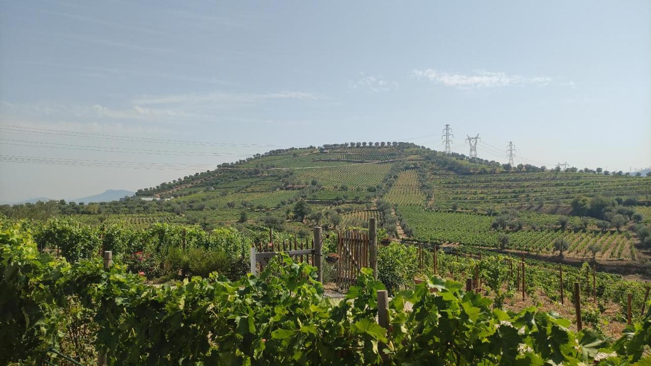 Quinta Dos Padrinhos - Suites In The Heart Of The Douro Lamego Exterior foto