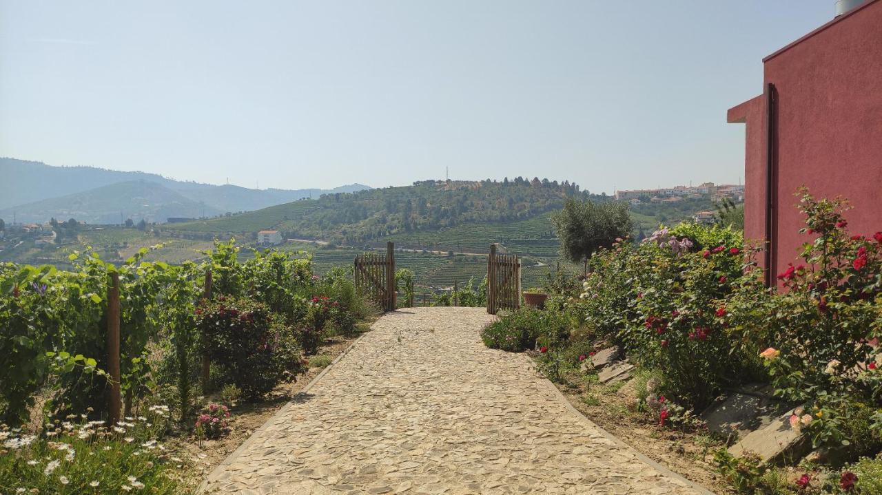 Quinta Dos Padrinhos - Suites In The Heart Of The Douro Lamego Exterior foto