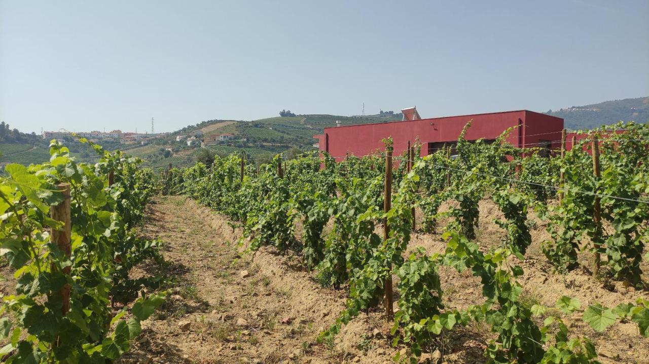 Quinta Dos Padrinhos - Suites In The Heart Of The Douro Lamego Exterior foto