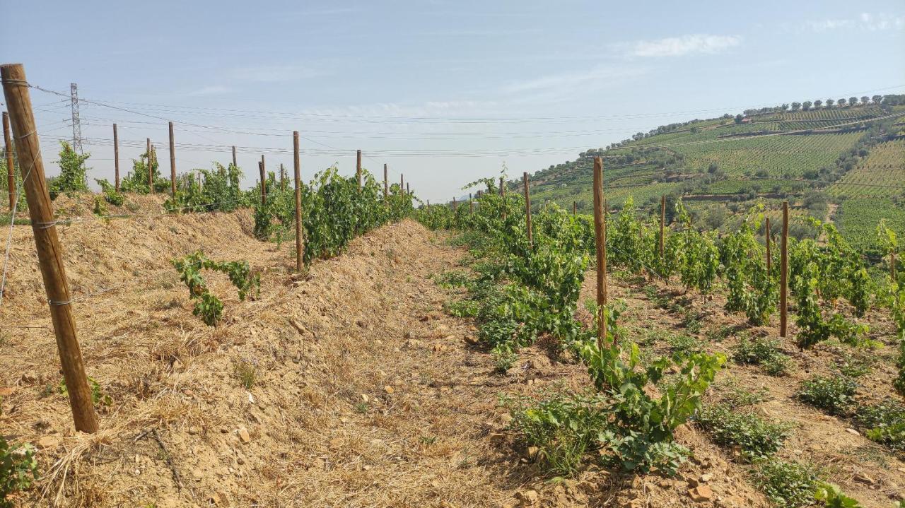 Quinta Dos Padrinhos - Suites In The Heart Of The Douro Lamego Exterior foto