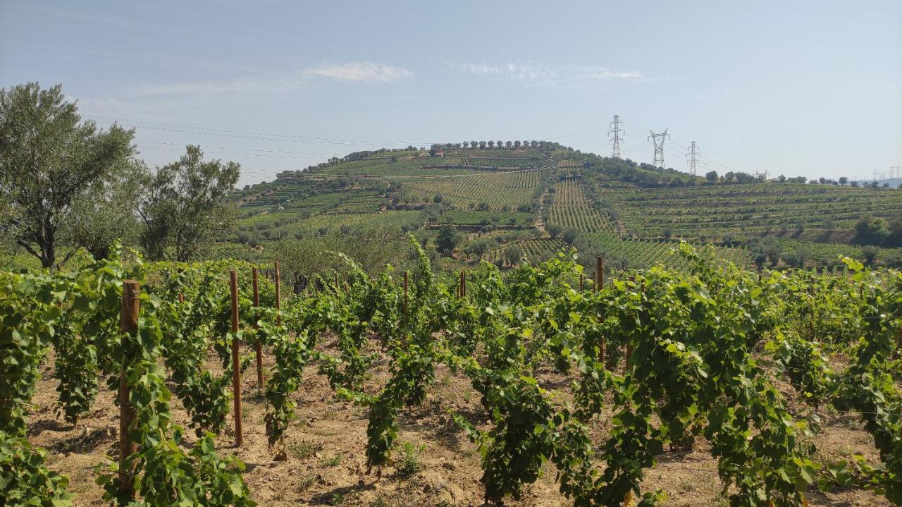 Quinta Dos Padrinhos - Suites In The Heart Of The Douro Lamego Exterior foto