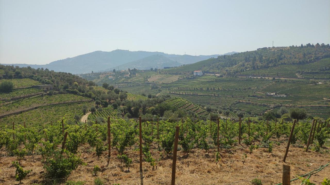 Quinta Dos Padrinhos - Suites In The Heart Of The Douro Lamego Exterior foto