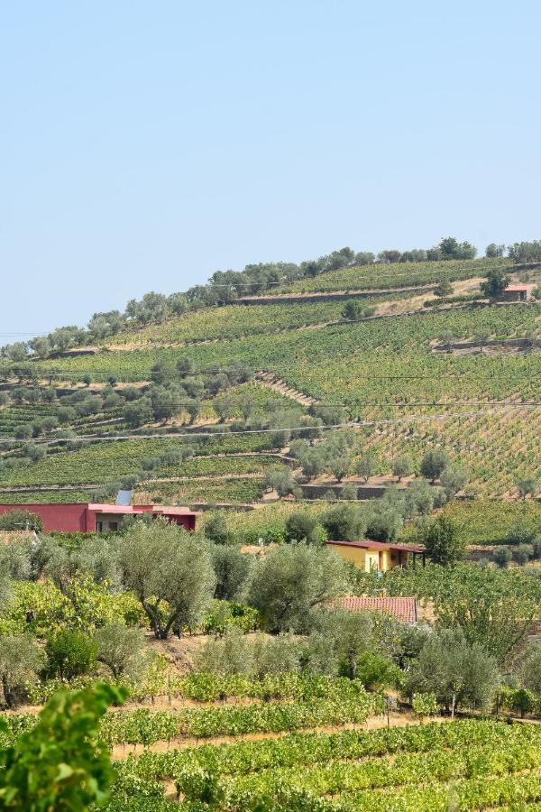 Quinta Dos Padrinhos - Suites In The Heart Of The Douro Lamego Exterior foto